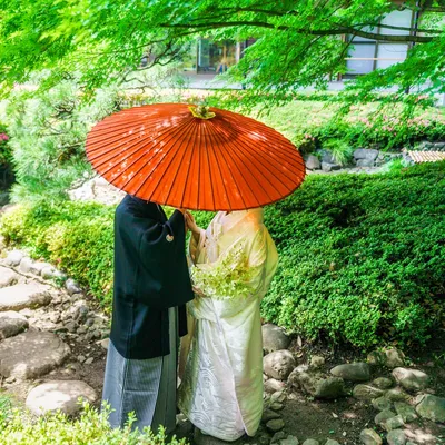 新緑の庭園で朱色の和傘を差す和装のカップル
